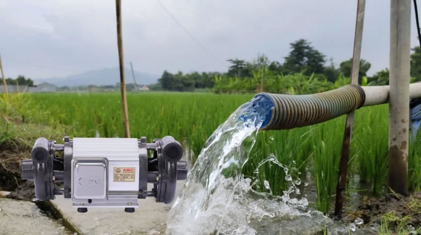 Top địa chỉ cửa h&agrave;ng mua m&aacute;y bơm nước tốt Vinh Nghệ An